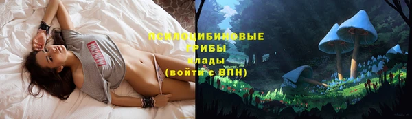спайс Абаза