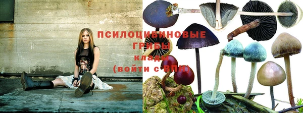 кокаин Абинск