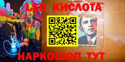 мяу мяу мука Краснознаменск