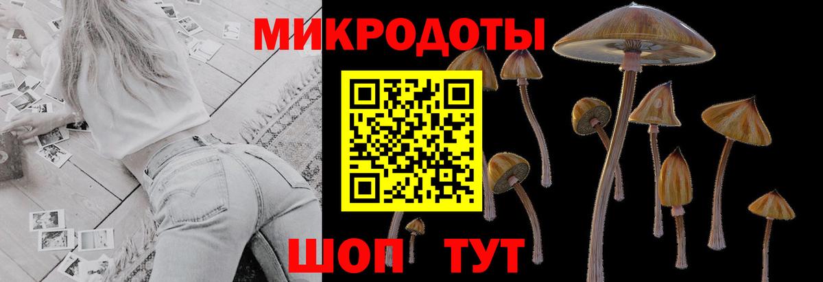 Галлюциногенные грибы мицелий Ивантеевка